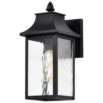 Austen One Light Outdoor Wall Lantern (60-5997)