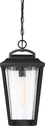 Lakeview One Light Hanging Lantern (60-6514)