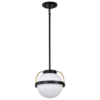 Nuvo Lighting - 60-7773 - One Light Pendant - Lakeshore - Matte Black