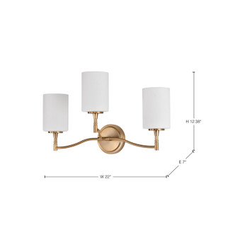 Liam Three Light Vanity (60-8203)