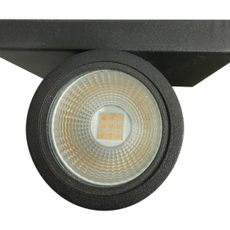 LED Wall Sconce (62-1144R1)