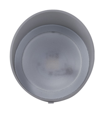 LED Landscape Flood (62-1208)