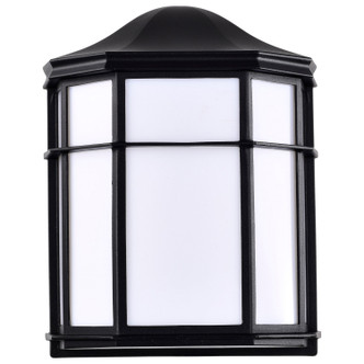 Nuvo Lighting - 62-1397 - LED Cage Lantern Fixture - Black
