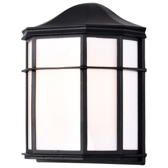 LED Cage Lantern Fixture (62-1397)