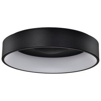 Nuvo Lighting - 62-1454R1 - LED Flush Mount - Orbit - Black