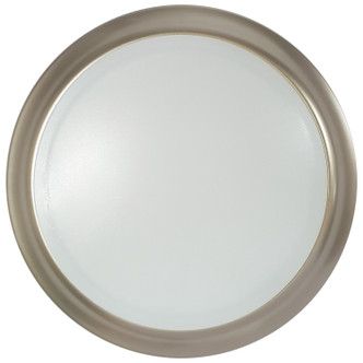 LED Disk Light (62-1672)