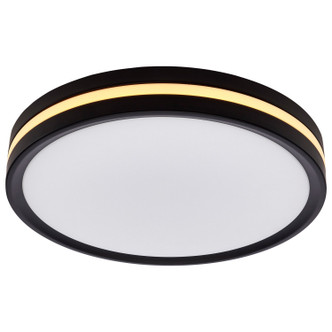 LED Flush Mount (62-1691)
