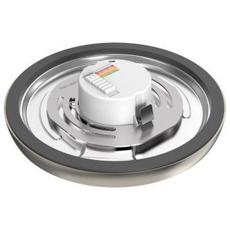 LED Flush Mount (62-1713)