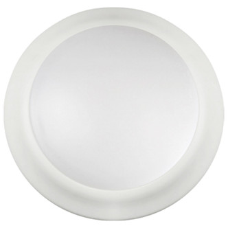 LED Disk Light (62-1805)
