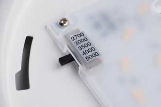 LED Disk Light (62-1810)