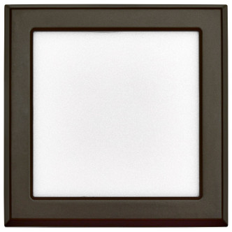 LED Flush Mount (62-1906)