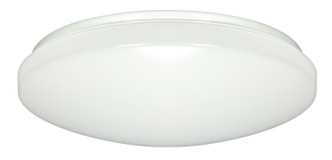 Nuvo Lighting - 62-798 - LED Fixture - White