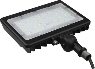 LED Flood Light (65-538R1)