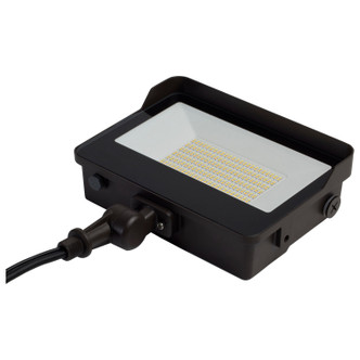 LED Flood Light (65-542)