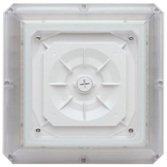 LED Wide Beam Angle Canopy (65-635)