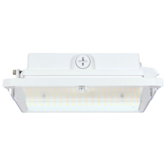 LED Wide Beam Angle Canopy (65-635)