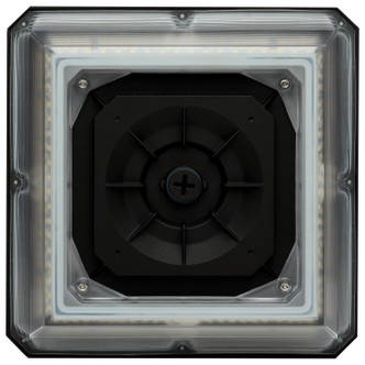 LED Wide Beam Angle Canopy (65-637)