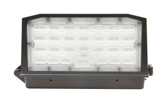 LED Wall Pack (65-672) LED Wall Pack (65-672)