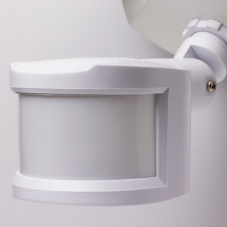 LED Security Light (65-717)