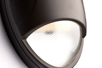 LED Wall Pack (65-880)