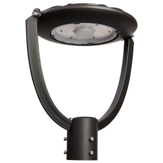 Nuvo Lighting - 65-892 - LED Post Top - Bronze Nuvo Lighting - 65-892 - LED Post Top - Bronze