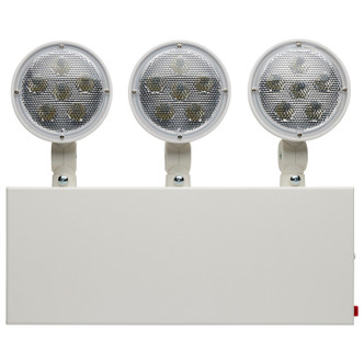 LED Emergency Lighting (67-133)