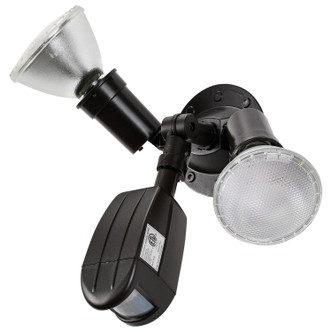 Two Light Floodlight (SF76-503)