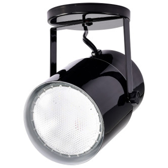 One Light Plant Lamp (SF77-394)
