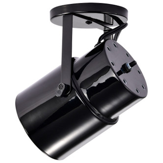 One Light Plant Lamp (SF77-394)