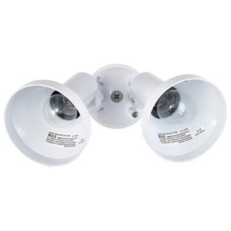 Two Light Floodlight (SF77-488)