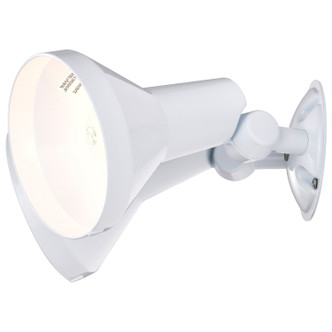 Two Light Floodlight (SF77-488)