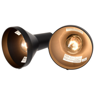 Two Light Floodlight (SF77-495)