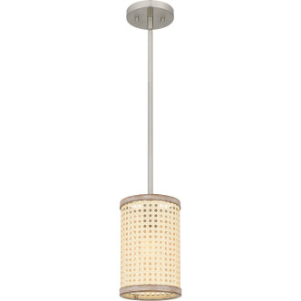 manufacturer_finish:Brushed Nickel