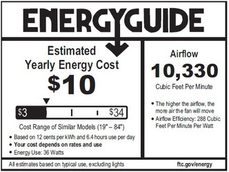 Zeus 80" Ceiling Fan (10806-8)