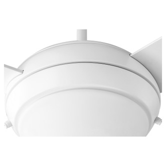 Expo 52"Ceiling Fan (20523-8)