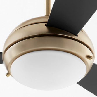 Expo 60" Ceiling Fan (20603-80)