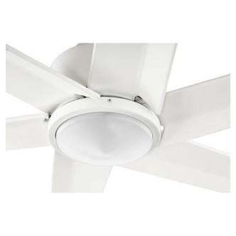 Titus 80" Ceiling Fan (20806-8)