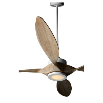 Papillon 66"Ceiling Fan (28664-8)