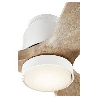 Lurus 64"Ceiling Fan (30643-8)