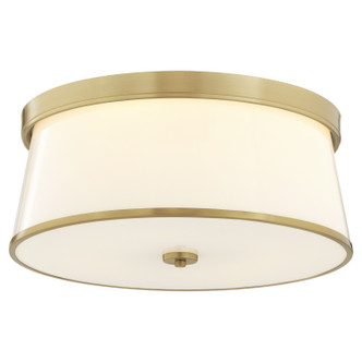 Weir Four Light Ceiling Mount (3203-20-80)