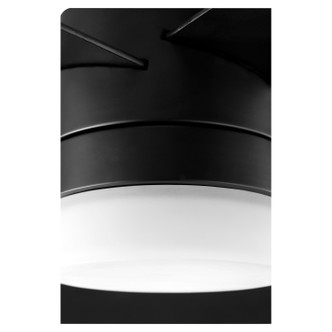 Maxwell 52"Ceiling Fan (37525-59)