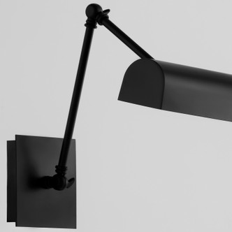 Picture Lights Two Light Picture Light (411-15-59)