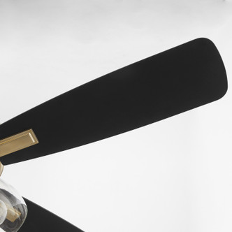 Ovation 52"Ceiling Fan (4525-0380)