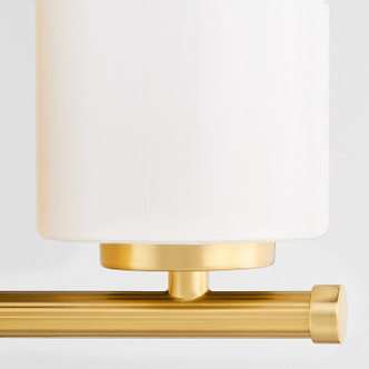 Belinder One Light Wall Mount (5228-1-80)