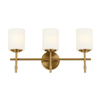 Ali Three Light Bath (55142BNB)