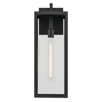 Branner One Light Outdoor Wall Mount (59113BKT)
