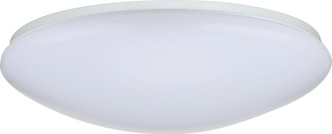 Nuvo Lighting - 62-766 - LED Fixture - White