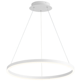 Circulo LED Pendant (3-64-6)