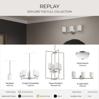 manufacturer_finish:Brushed Nickel|manufacturer_glass:Etched