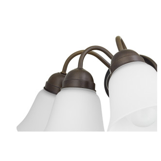 5404 Lighting Series Three Light Wall Mount (5404-3-86)